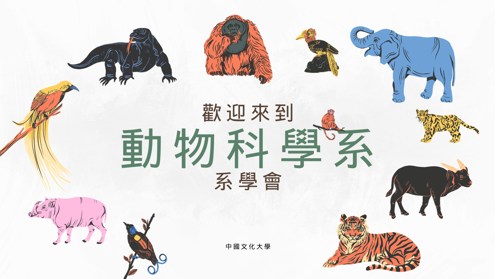 🐔中國文化大學🐣動物科學系學會🐷